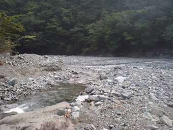 Ca360356 Ca360356