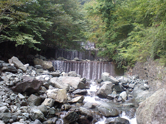 Ca360358 Ca360358