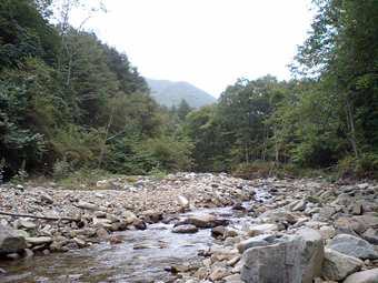Ca360367 Ca360367