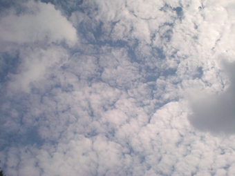 Ca360373 Ca360373