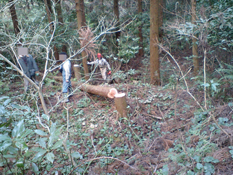 Ca360177_2 Ca360177_2