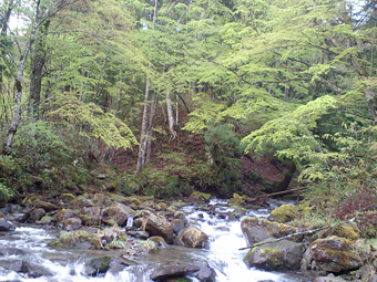 Ca360245 Ca360245