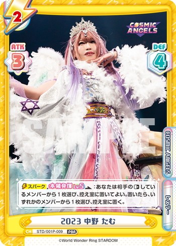 f:id:Amandaruma:20241215004821j:image