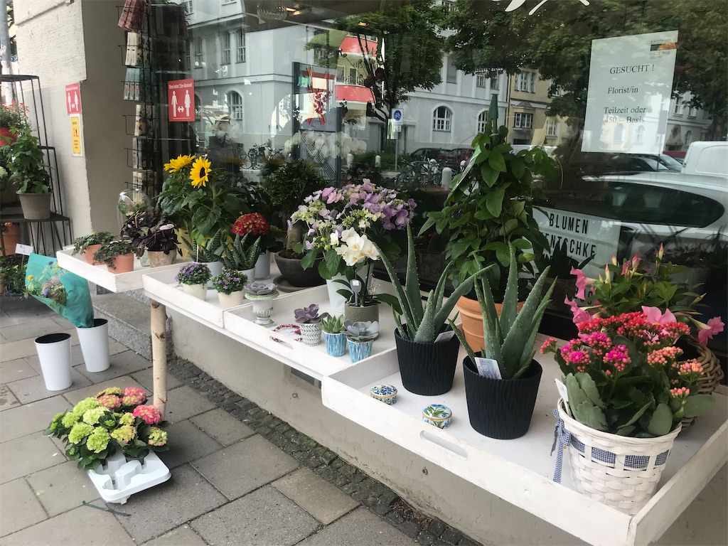 f:id:AmazingMasa:20210529040226j:image