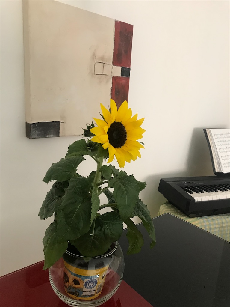 f:id:AmazingMasa:20210529040544j:image