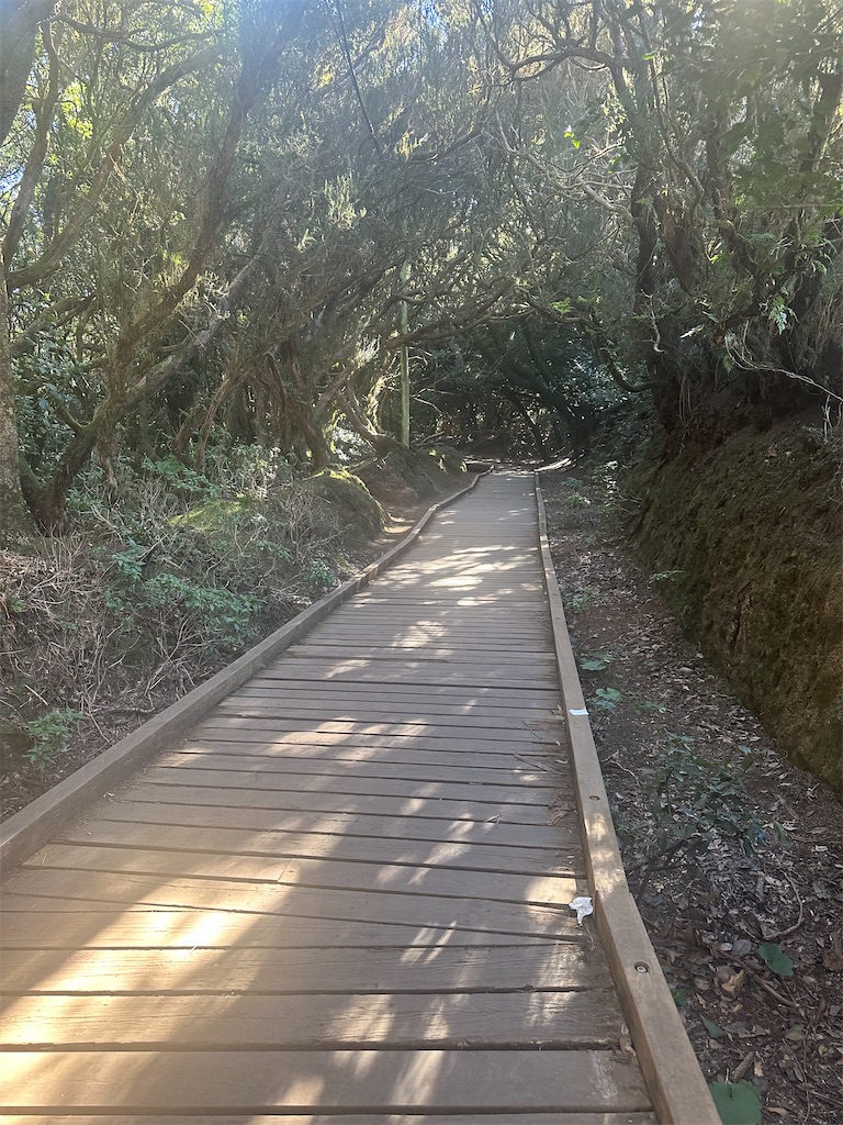 f:id:AmazingMasa:20240103071154j:image