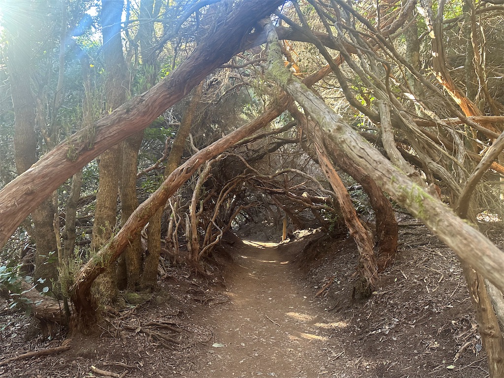 f:id:AmazingMasa:20240103071203j:image