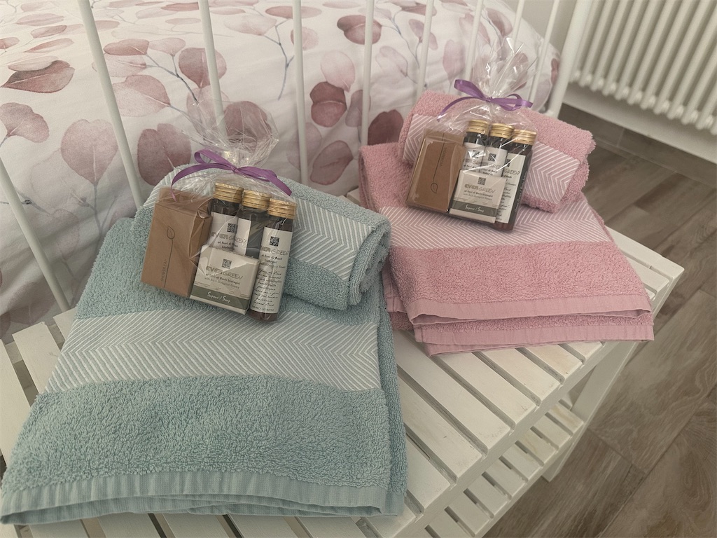 f:id:AmazingMasa:20240330075731j:image