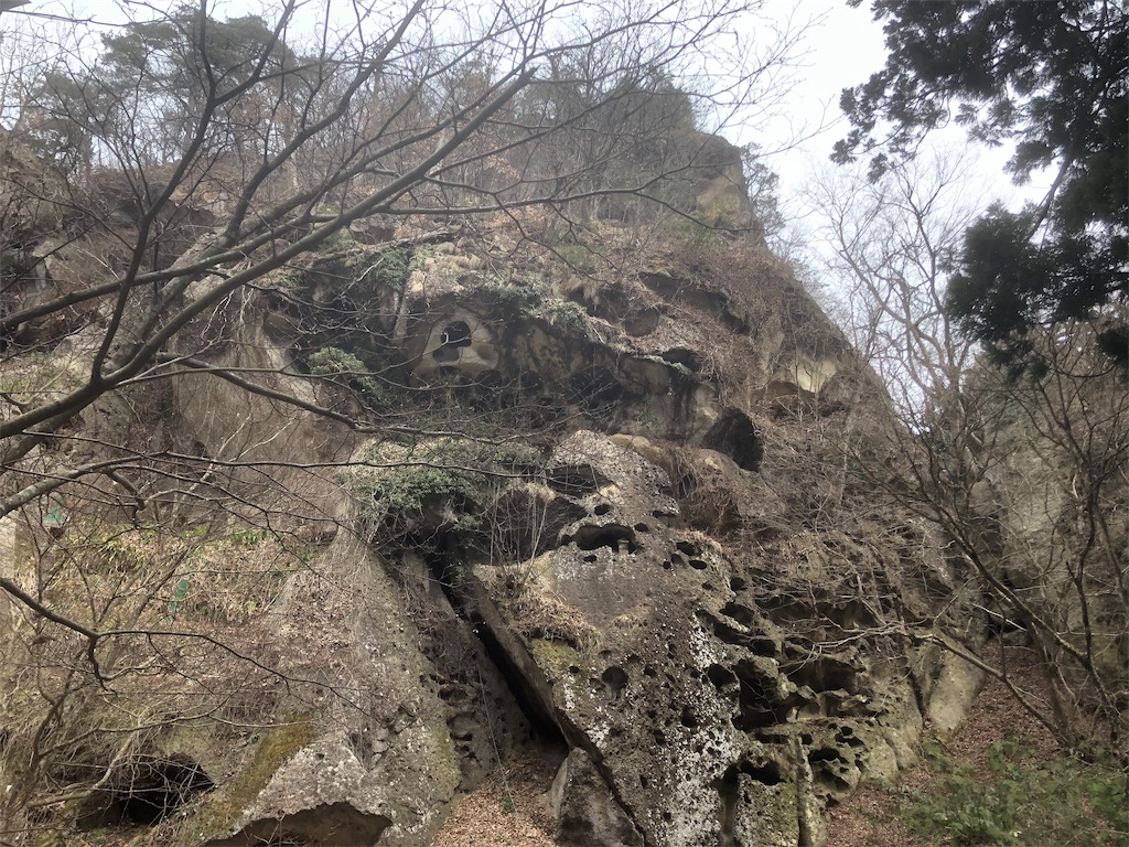 f:id:AmberFeb:20190323202623j:image f:id:AmberFeb:20190323202623j:image