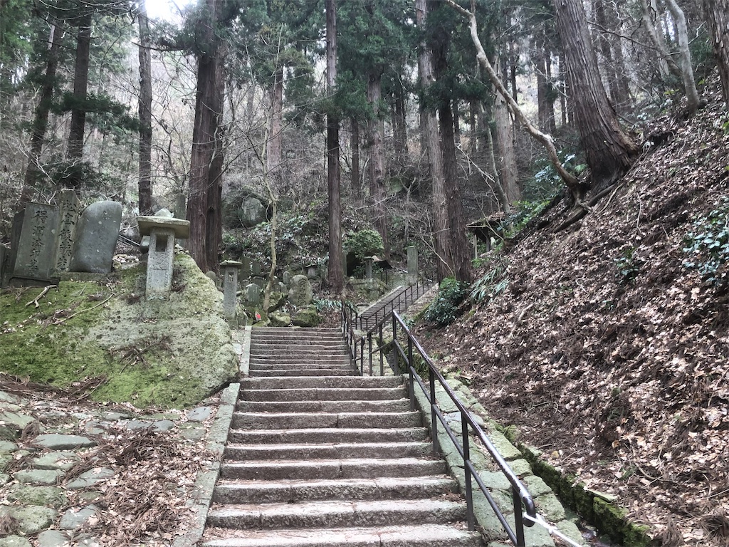 f:id:AmberFeb:20190323202650j:image f:id:AmberFeb:20190323202650j:image