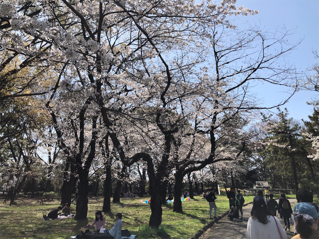 f:id:AmberFeb:20200328221126j:image
