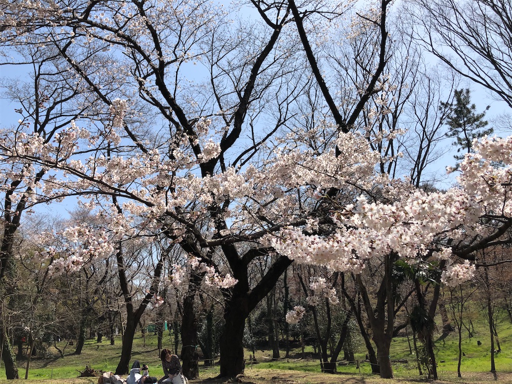 f:id:AmberFeb:20200328221134j:image