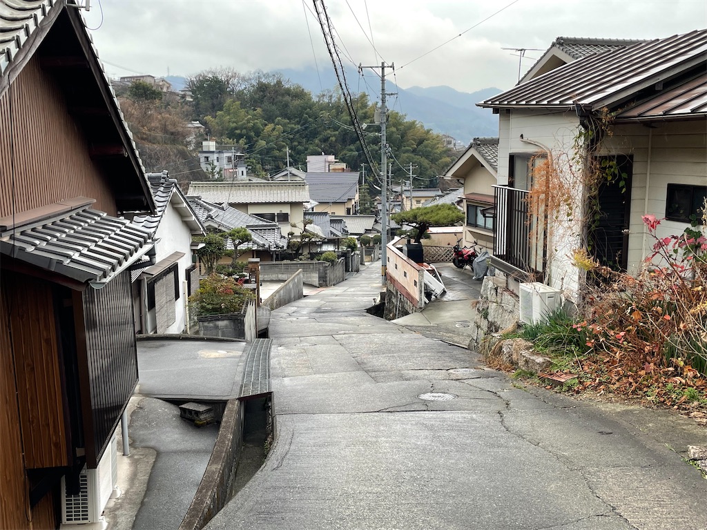 f:id:AmberFeb:20211230202357j:image