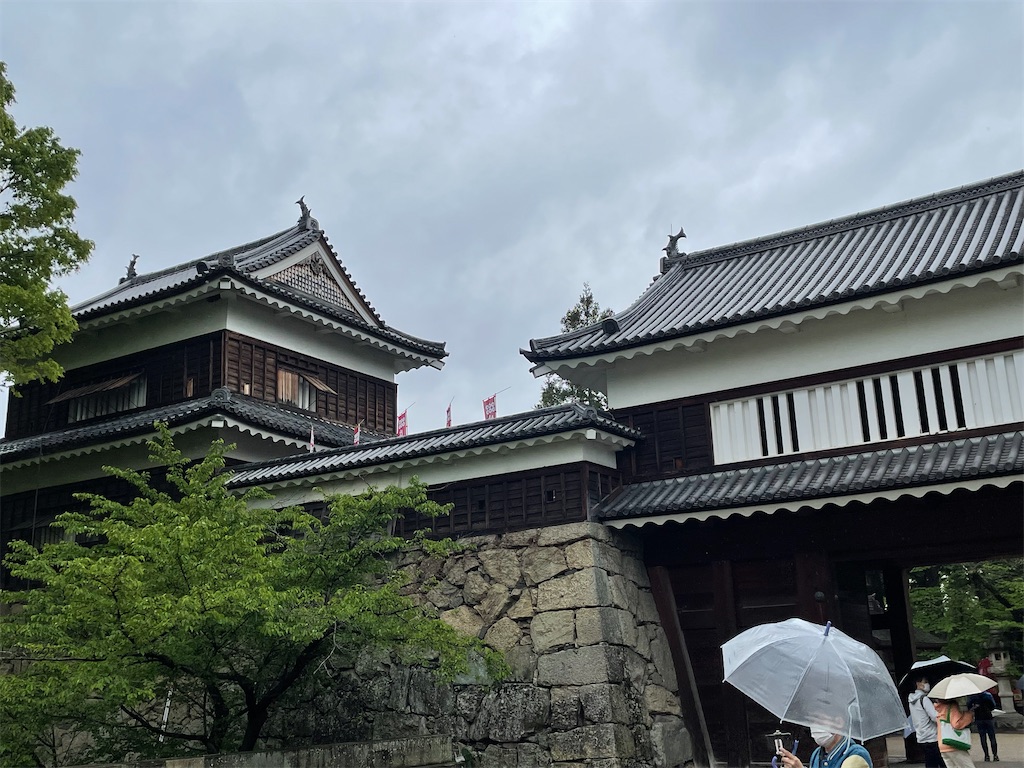f:id:AmberFeb:20220623205420j:image
