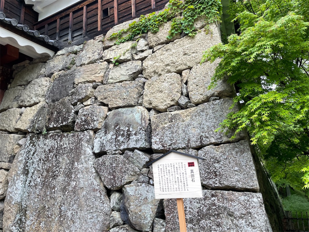 f:id:AmberFeb:20220623205428j:image