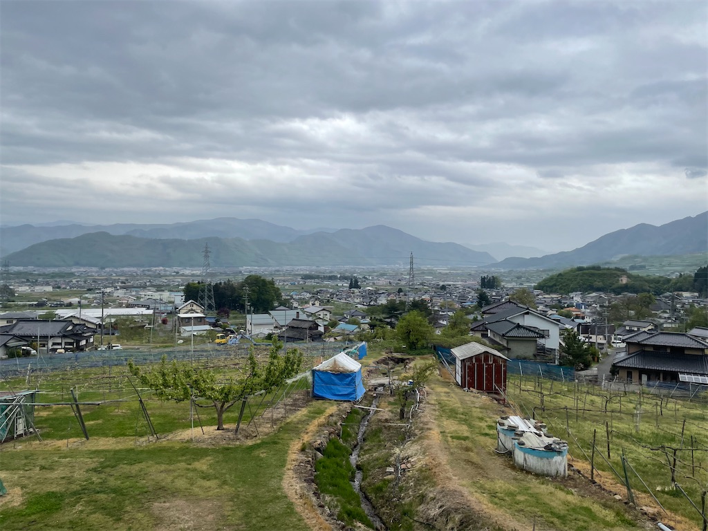 f:id:AmberFeb:20220623205437j:image