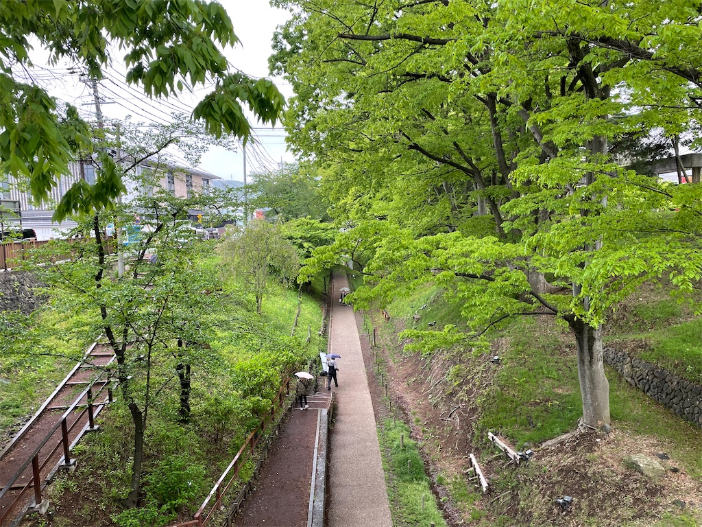 f:id:AmberFeb:20220623205449j:image