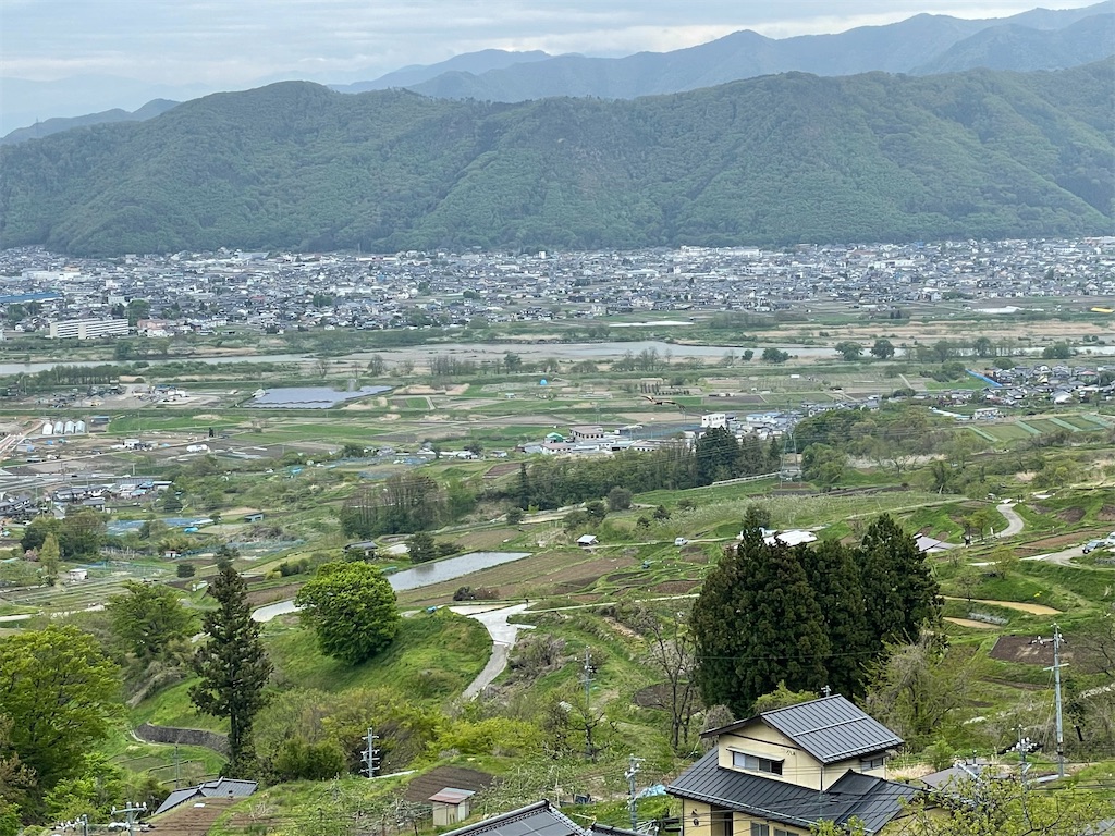 f:id:AmberFeb:20220623205454j:image