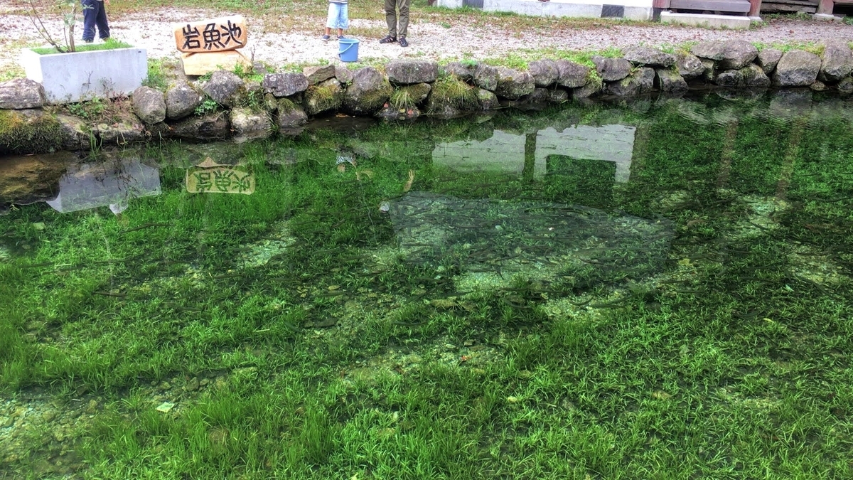 f:id:Ame-otoko:20200921221455j:plain