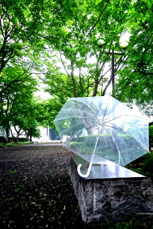 f:id:AmenoAki:20180606213203j:image