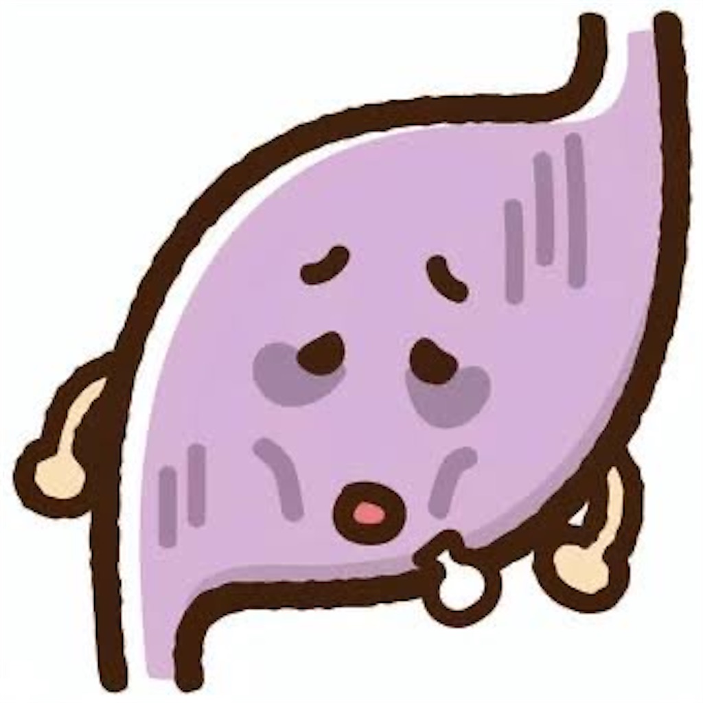 f:id:AmiYuguchi:20241211234509j:image