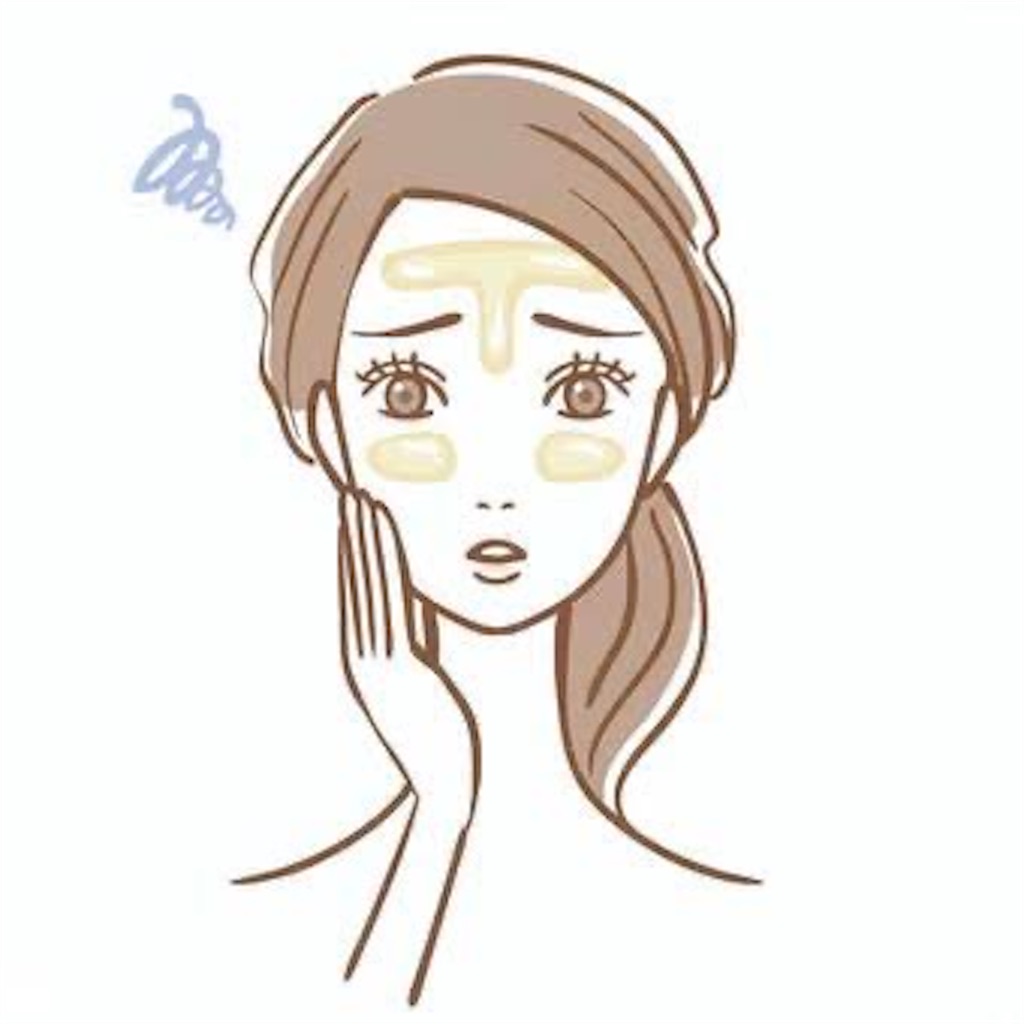 f:id:AmiYuguchi:20241223132258j:image