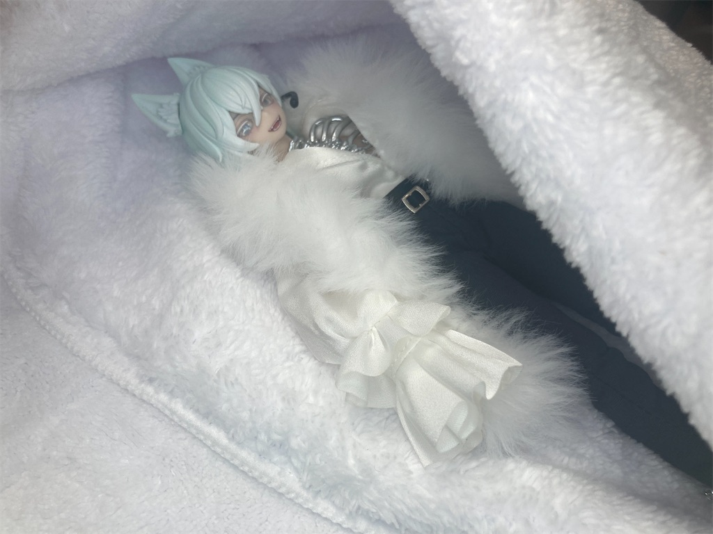 f:id:Amino_roi:20250823125357j:image