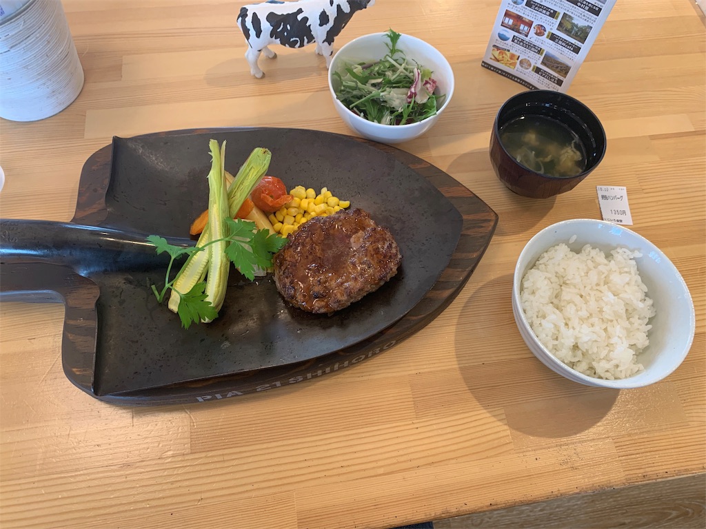 f:id:Amohiro:20200131175253j:image