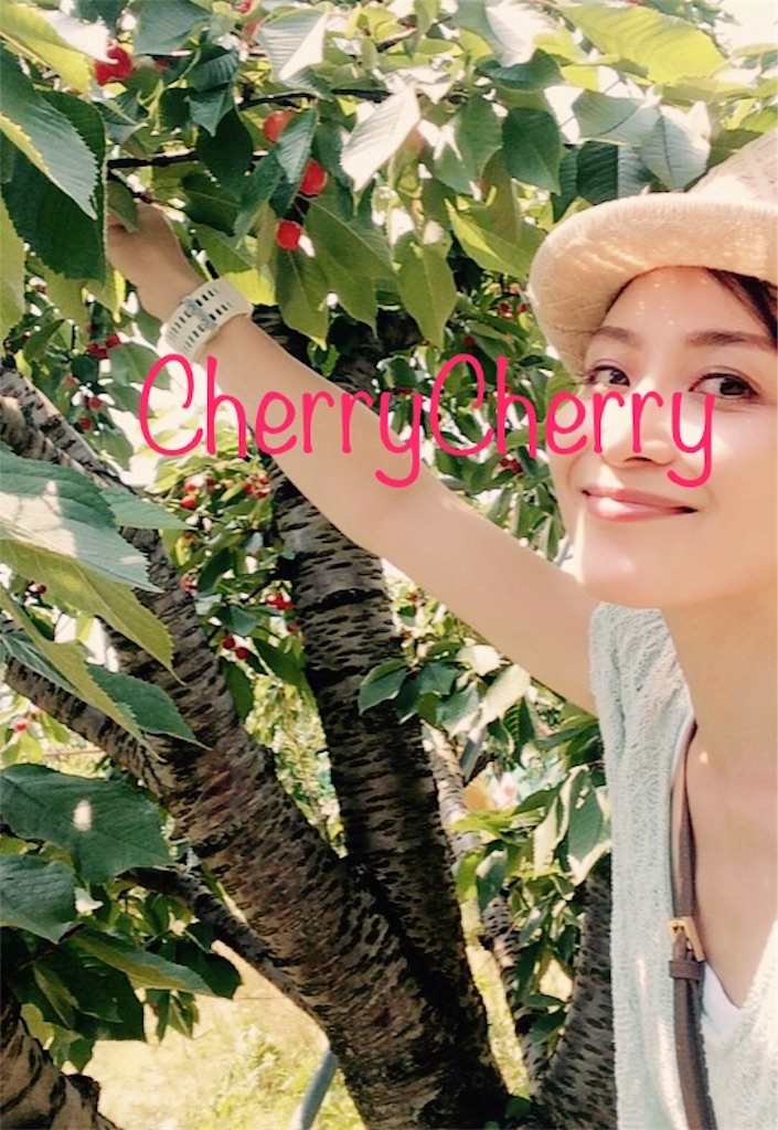 f:id:AmyAmy:20180624163118j:image