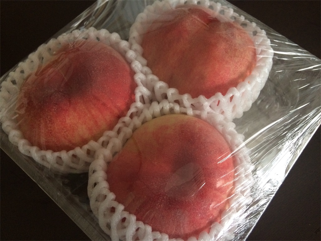 f:id:AmyAmy:20190711115355j:image