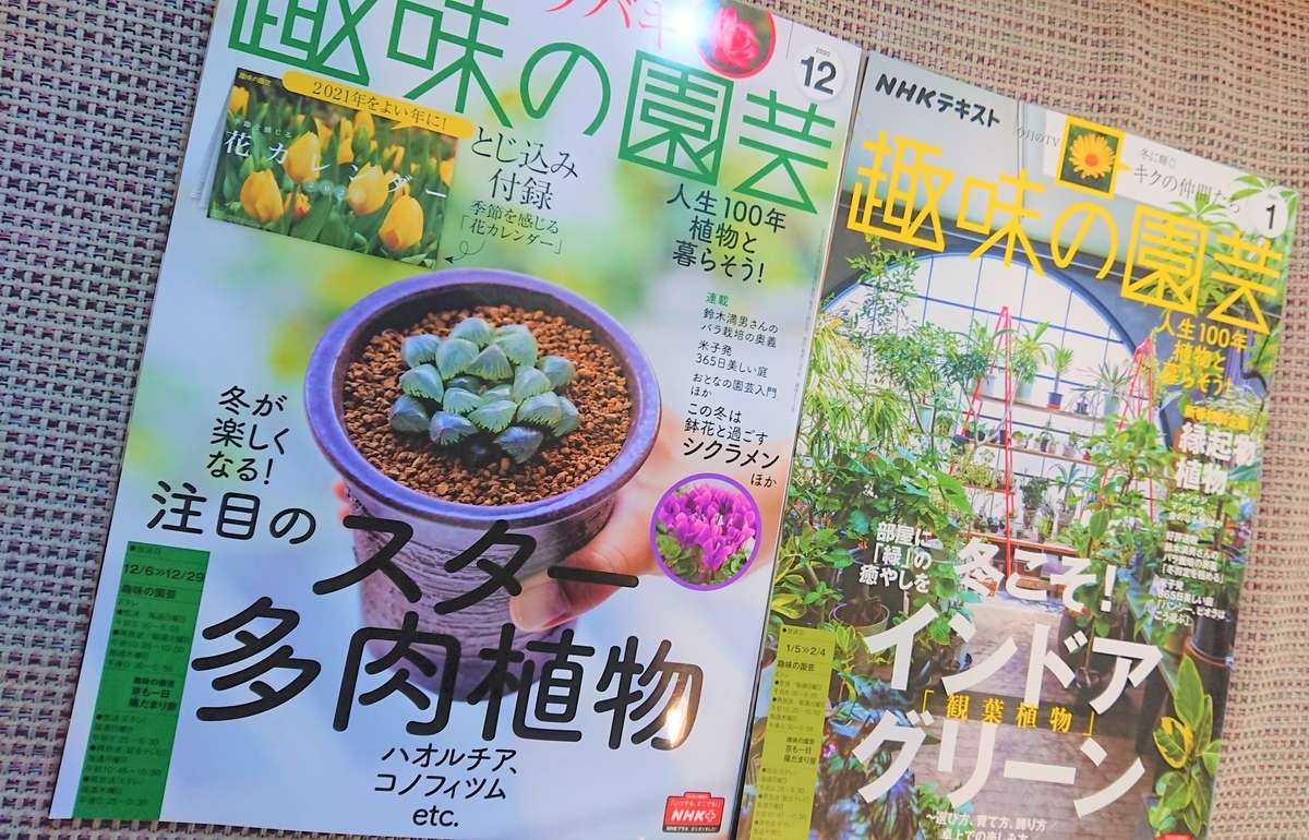 きっと皆さんも１冊は本棚にあるはず Nhk趣味の園芸 雑誌で多肉植物を知ったらおもしろかった オリーブ好きレッサーパンダ