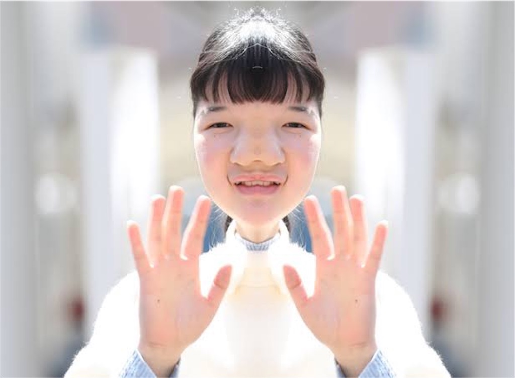 f:id:Ananimen:20191224201756j:plain