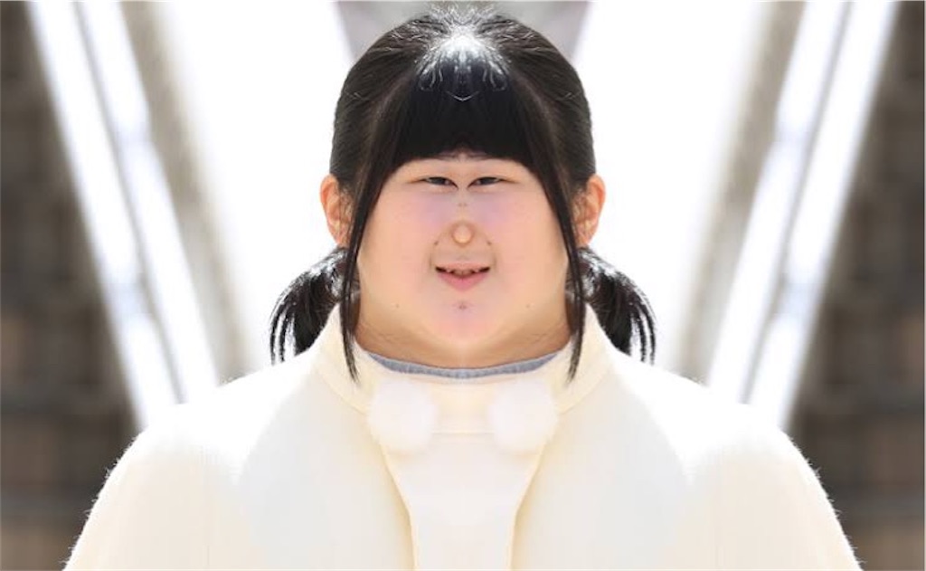 f:id:Ananimen:20191224201812j:plain