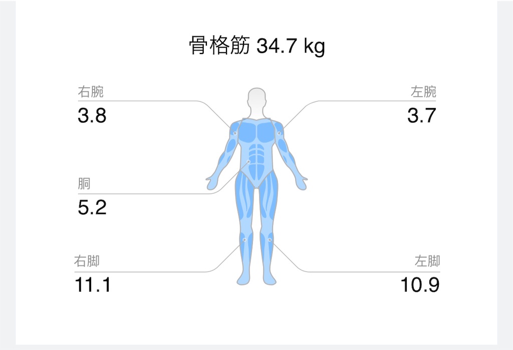 f:id:Androtest:20231013060629j:image f:id:Androtest:20231013060629j:image