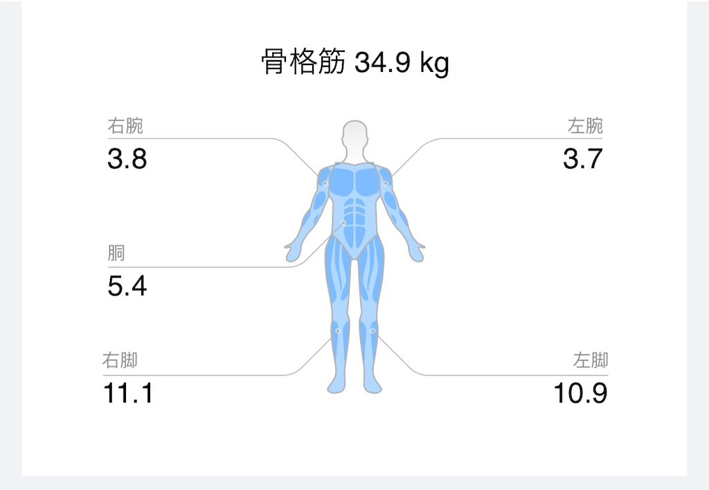 f:id:Androtest:20231014114312j:image