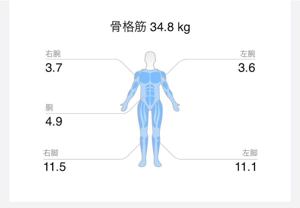 f:id:Androtest:20231018072133j:image