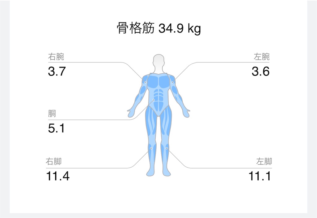 f:id:Androtest:20231019072448j:image