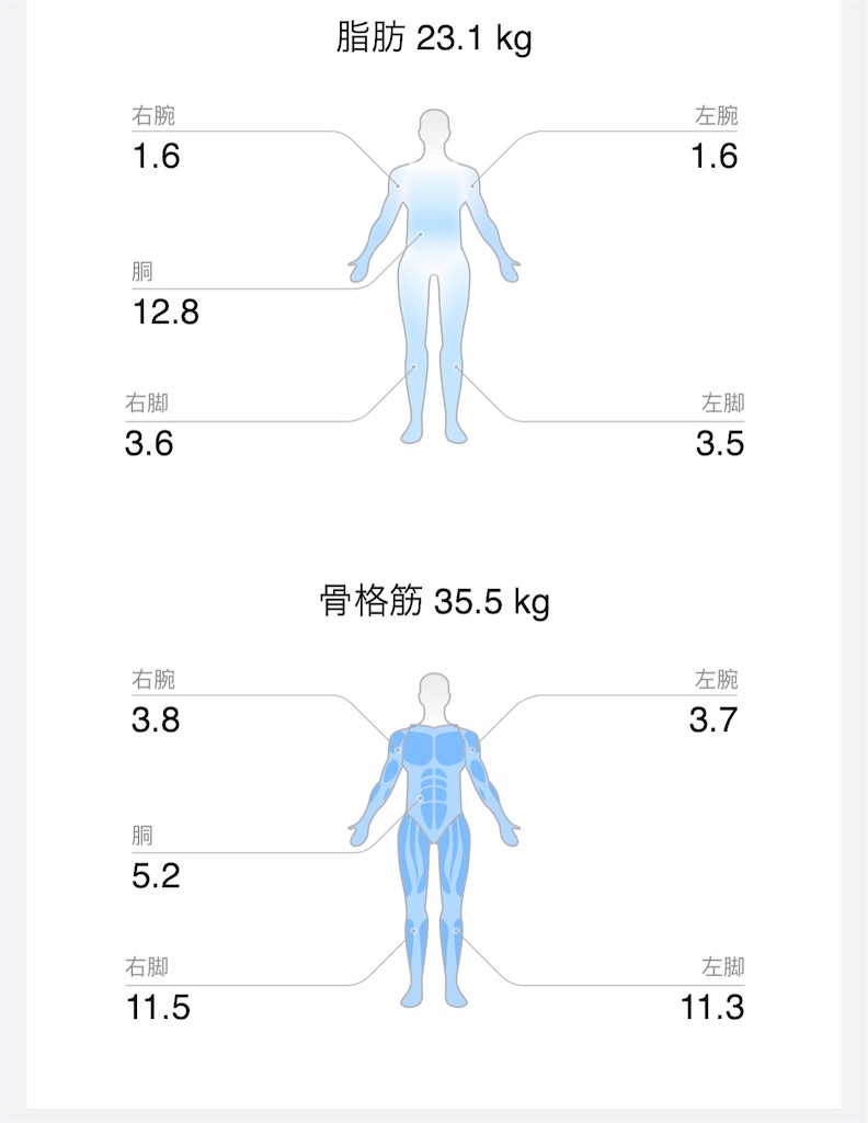 f:id:Androtest:20231028111947j:image f:id:Androtest:20231028111947j:image