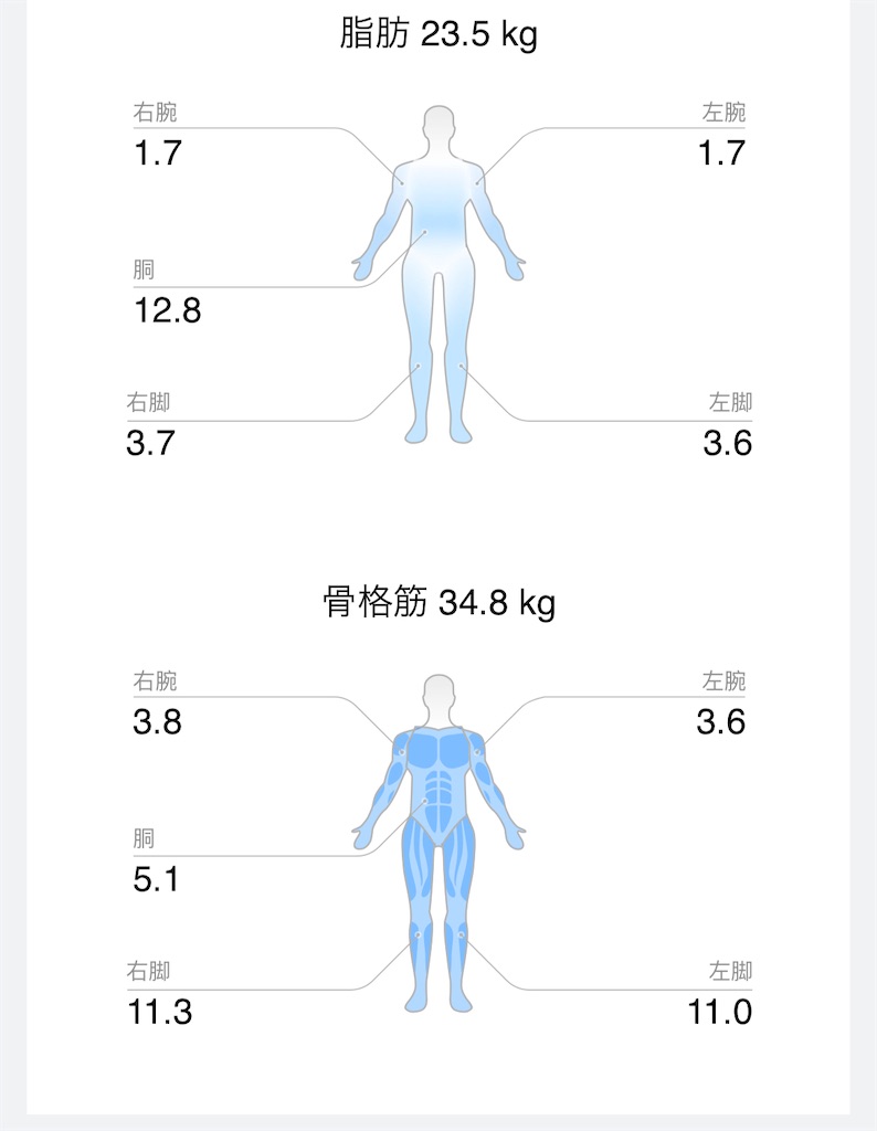 f:id:Androtest:20231030074551j:image