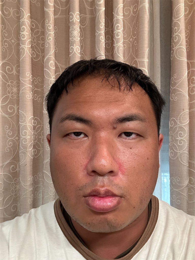 f:id:Androtest:20240920115000j:image