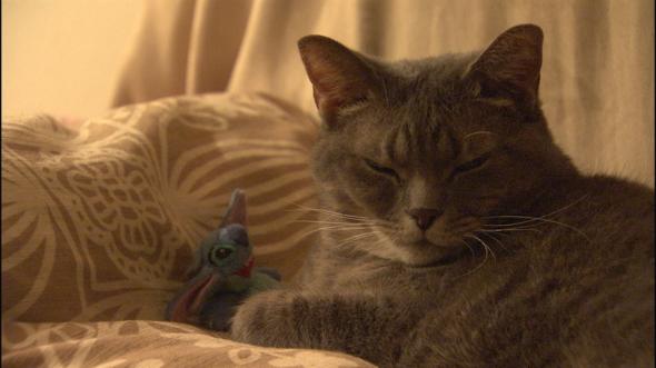 f:id:Andy_Hiroyuki:20160709140724j:plain