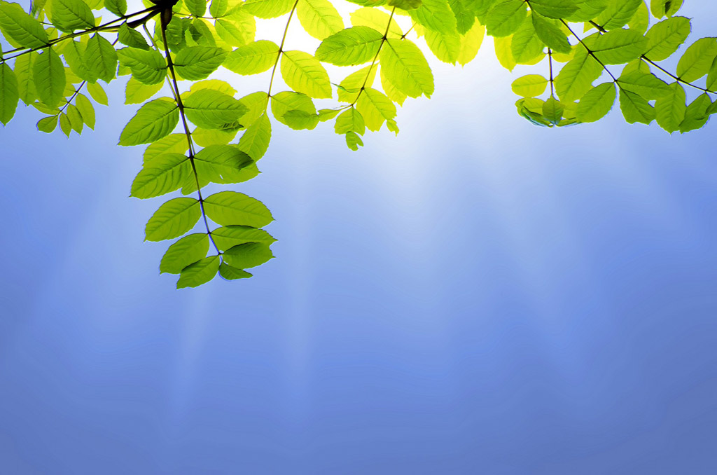 f:id:Andy_Hiroyuki:20170515091746j:plain f:id:Andy_Hiroyuki:20170515091746j:plain