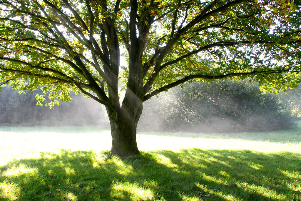 f:id:Andy_Hiroyuki:20170515091753j:plain f:id:Andy_Hiroyuki:20170515091753j:plain