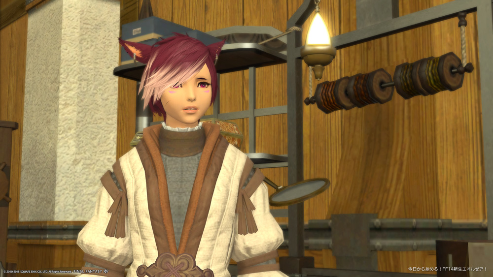 アヤ(ヒューラン♀)を説得出来ず、がっかりするキナ(ミコッテ♀)(FF14)
