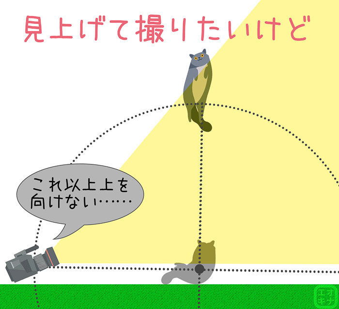 グルポ撮影時、キャラクターの位置が高すぎて画面に入らない状態を示した図