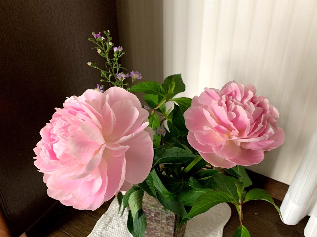 f:id:Angel_Muguet:20210616185040j:plain