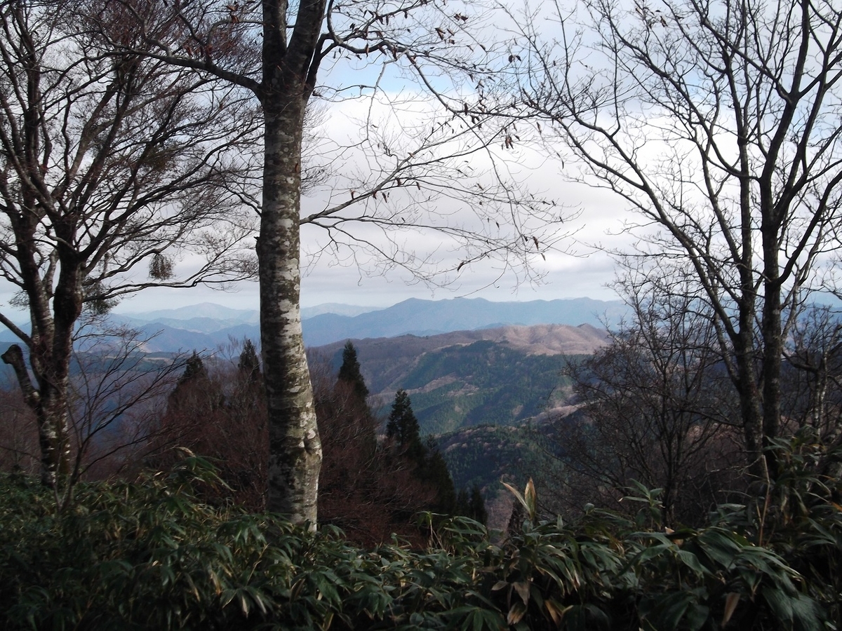 f:id:Angerika:20201202083458j:plain