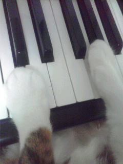 f:id:Angie25:20120606184208j:image
