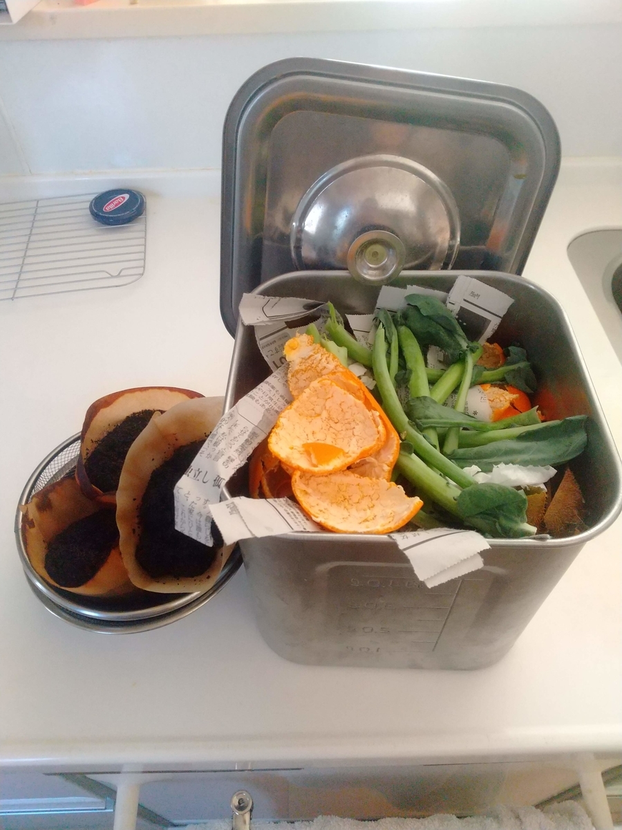 f:id:Angietsu:20211129143154j:plain