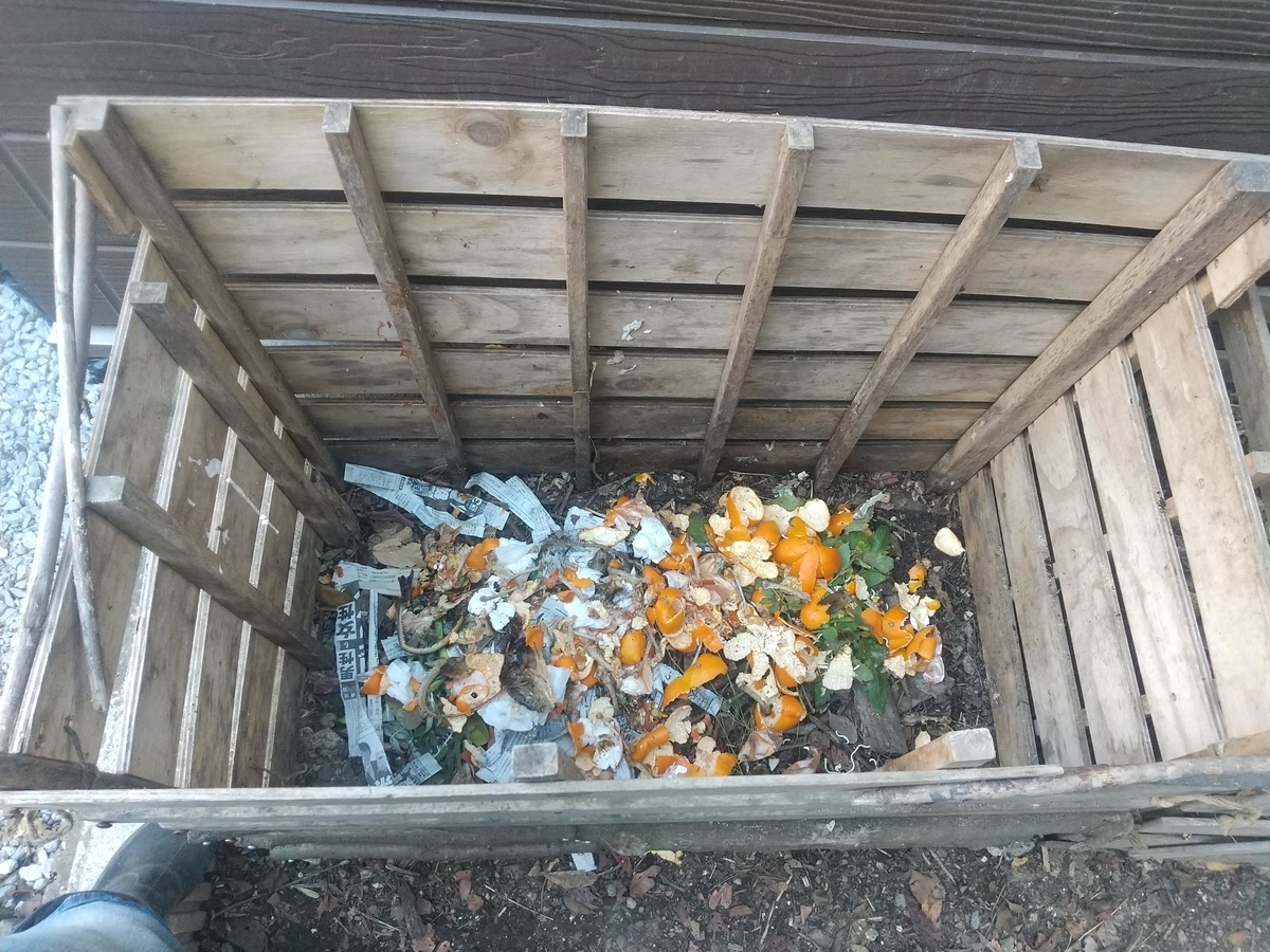 f:id:Angietsu:20211129143234j:plain